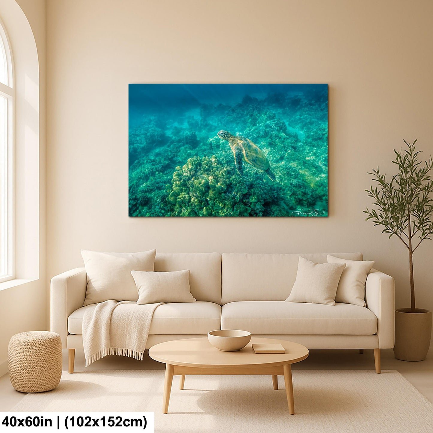 Sea Turtle Wall Art: Maui Ocean View - Tropical Coastal Decor