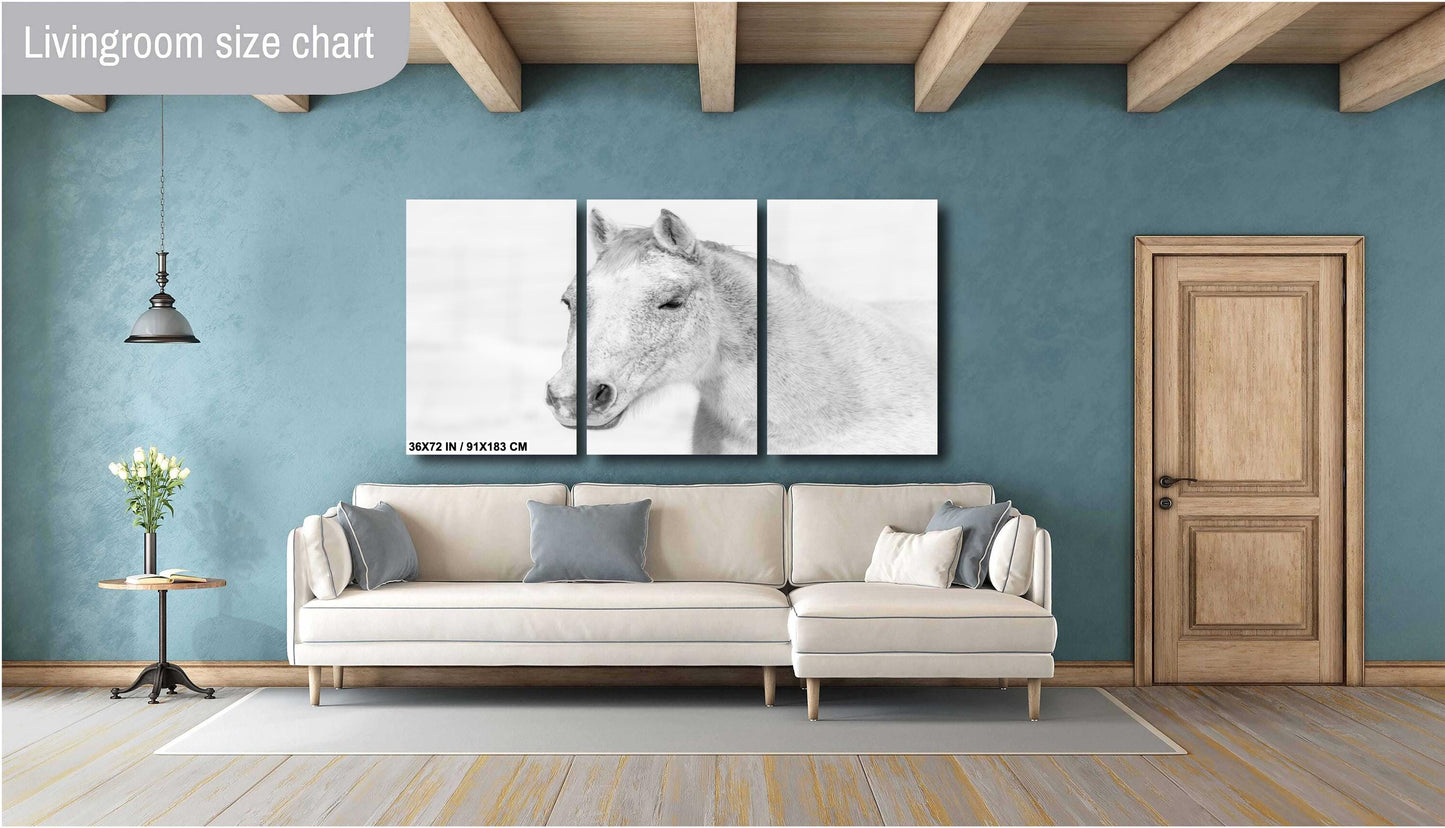 White Horse Wall Art – Serene Equine Wall Decor on Canvas, Metal & Acrylic Prints