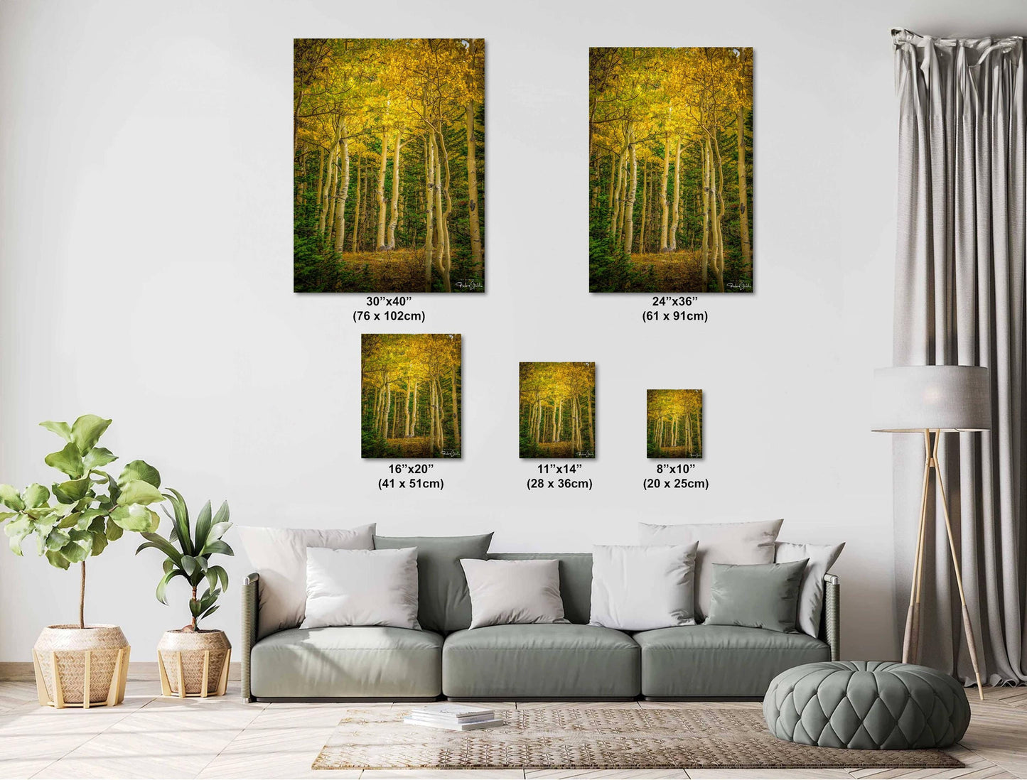 Colorado Aspen Wall Art – Large Autumn Tree Decor | Fine Art Metal Print