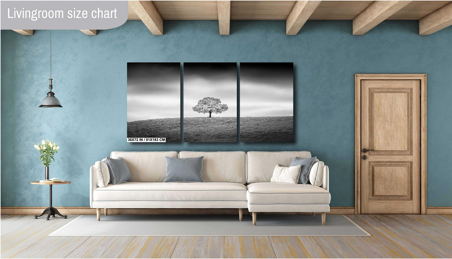 Black and White Photo Print – Minimalist Wall Art on Canvas, Metal & Acrylic Decor