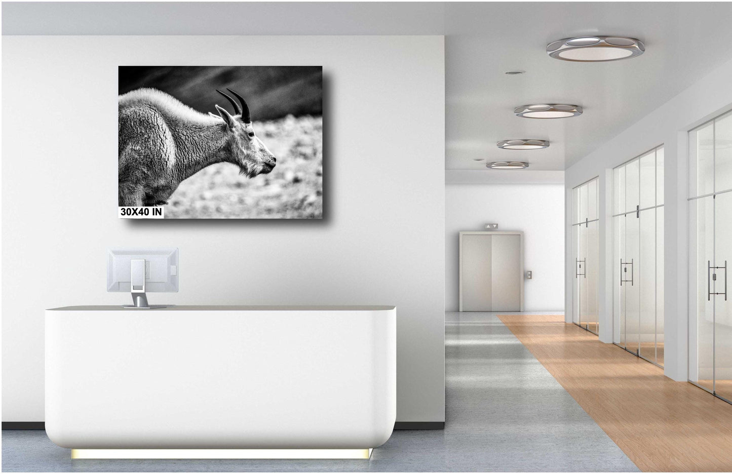 Mountain Goat Wall Art – Rustic Wildlife Photography Print | Black & White Decor