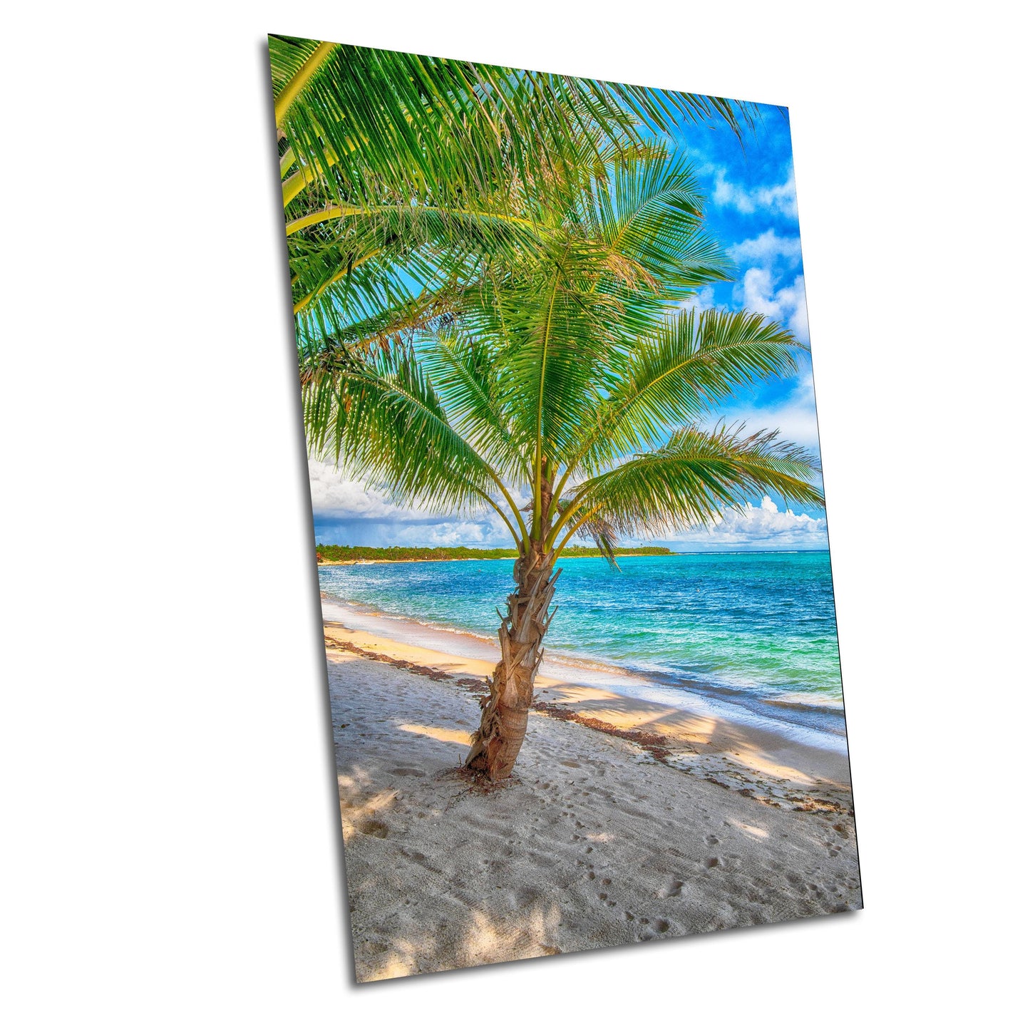 Palm Tree Wall Art – Tropical Palm Painting | Ready to Hang Canvas & Metal Print