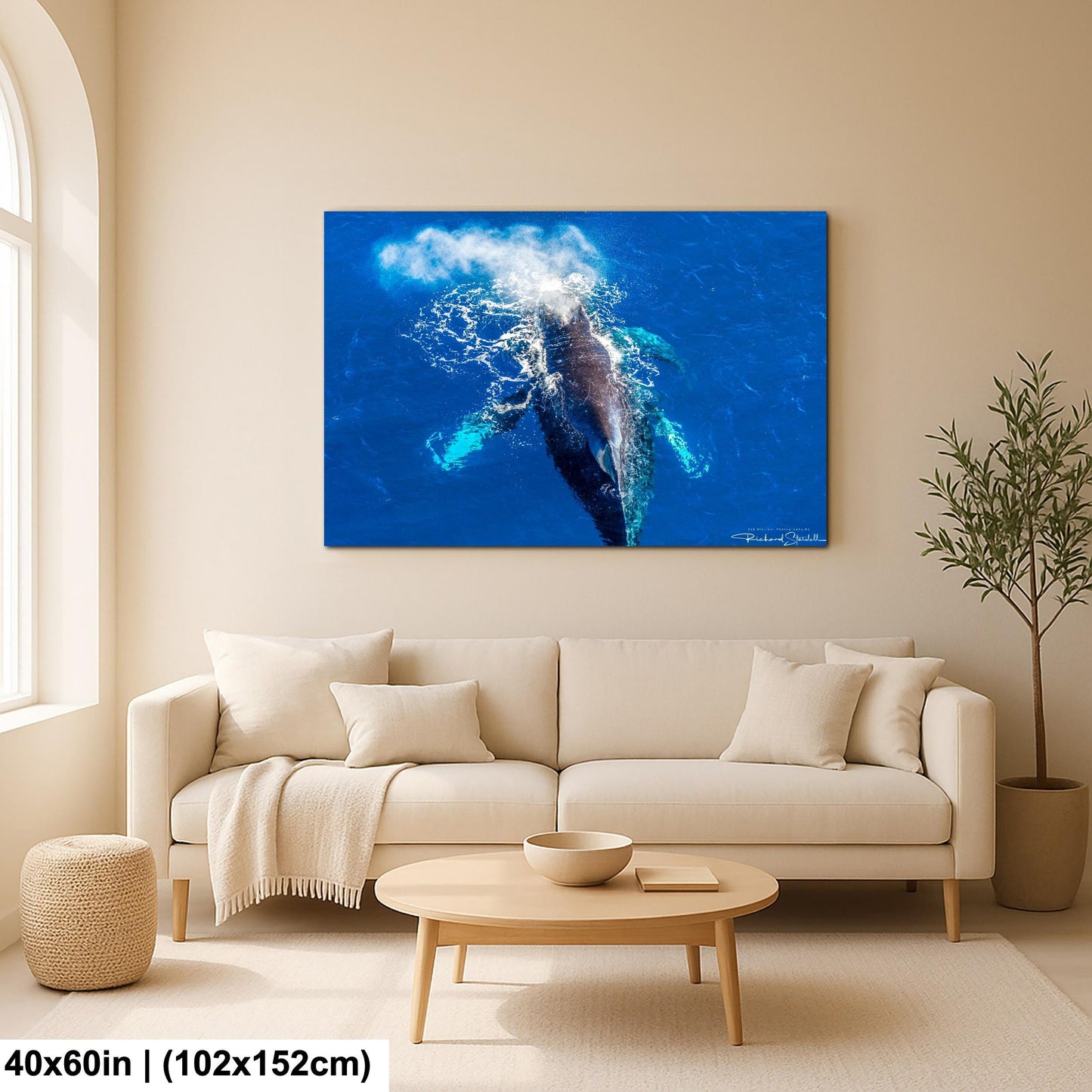 Humpback Whale Wall Art - Ocean Photo Print for Home