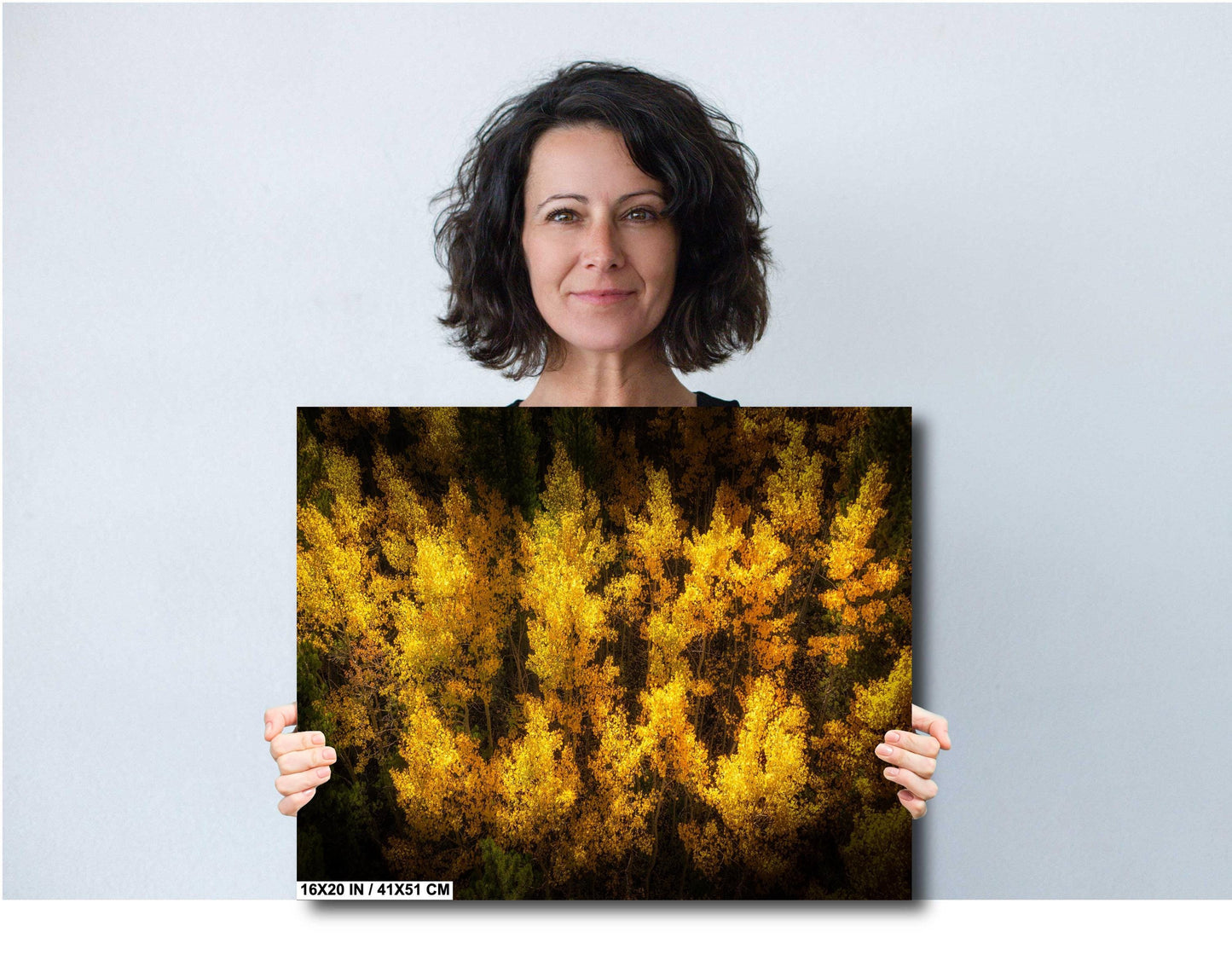 Golden Aspen Trees Print - Vibrant Fall Foliage Canvas | Nature Wall Decor