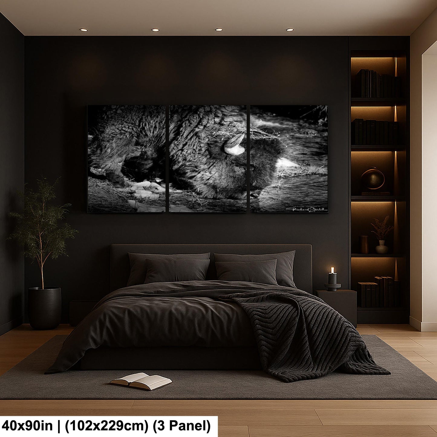 Buffalo Wall Art: Rustic Wildlife Photography - Ready to Hang