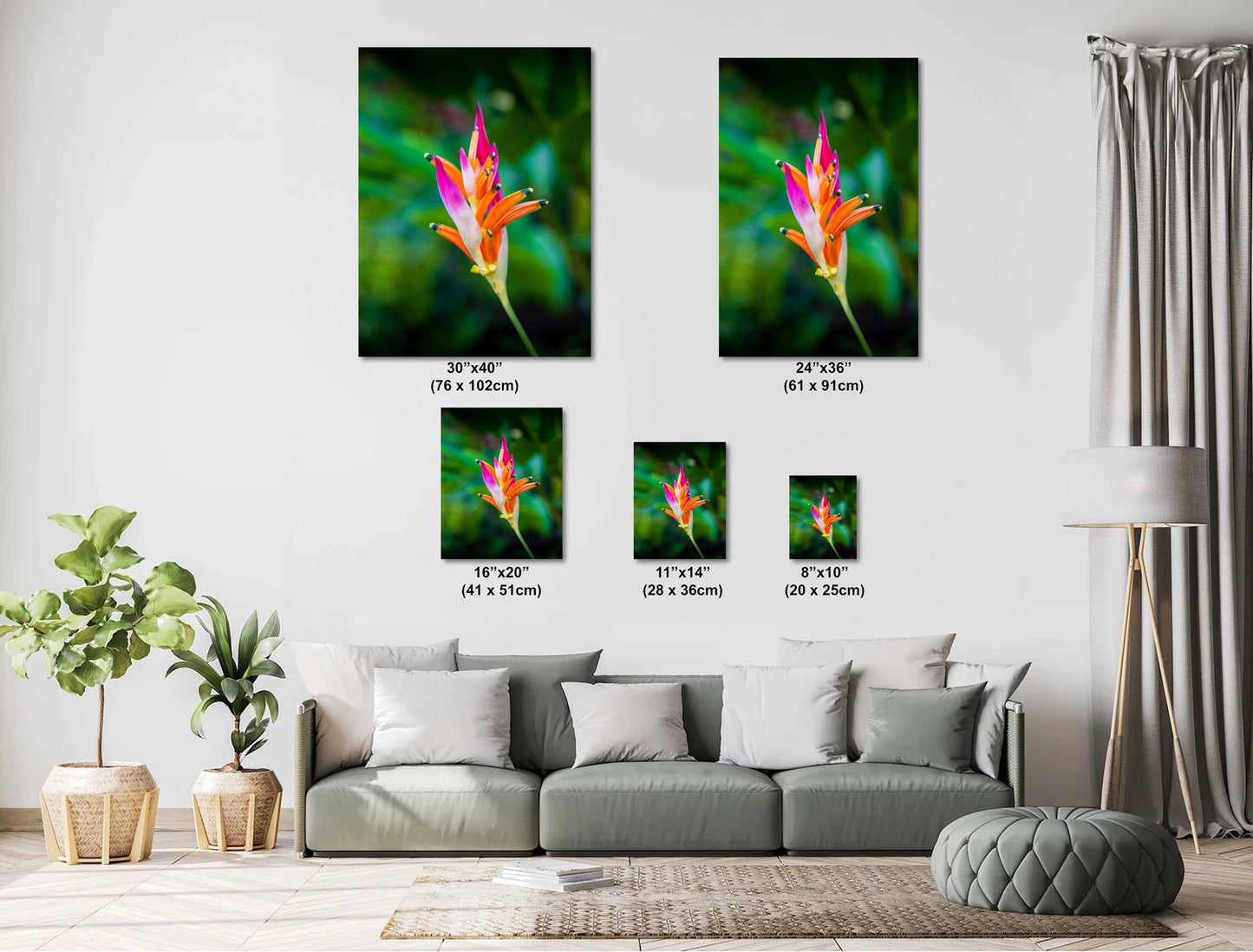 Heliconia Flower Wall Art - Tropical Flower Art | Vibrant Acrylic Prints
