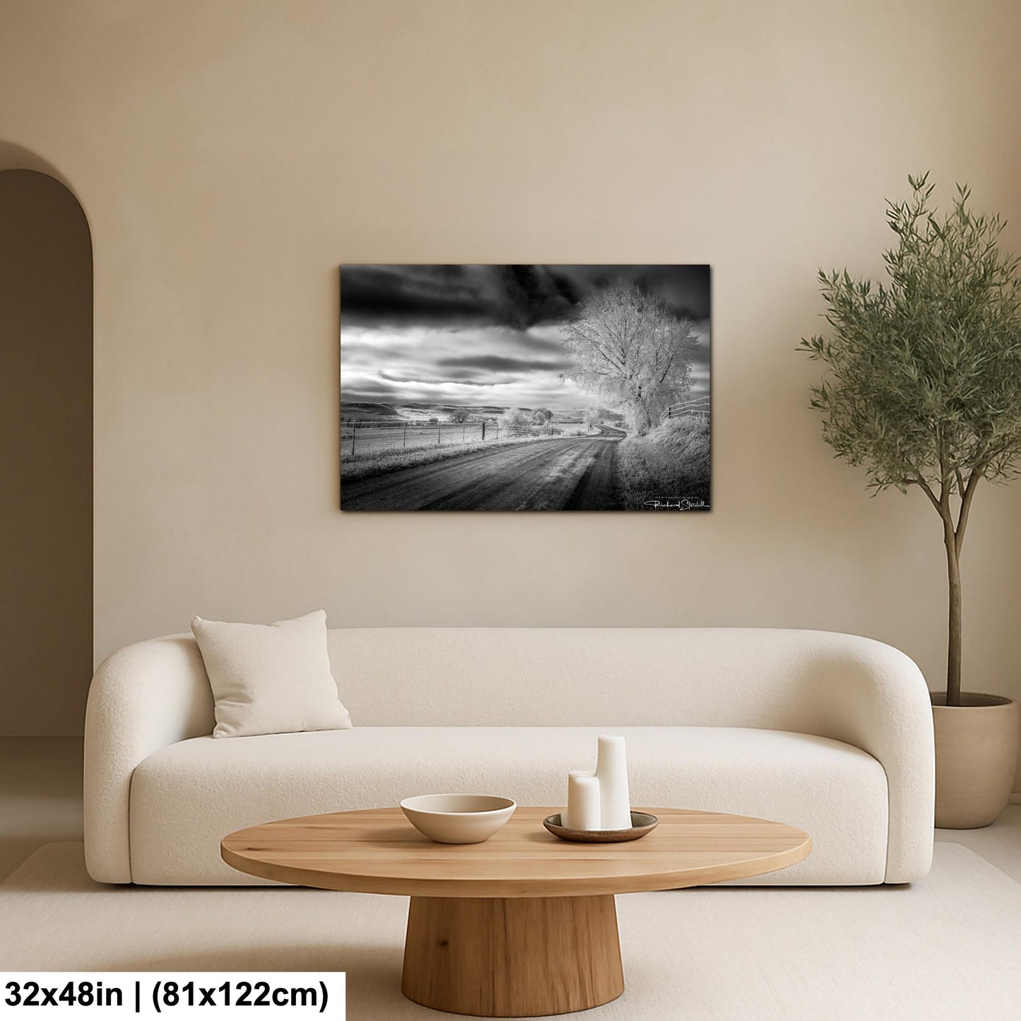Winter Country Road Print: Black & White Landscape (Canvas or Metal)