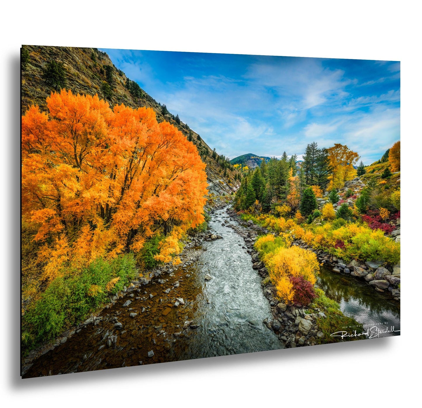 Colorado Mountain Landscape Print: Colorado Autumn Trees (Canvas or Metal)