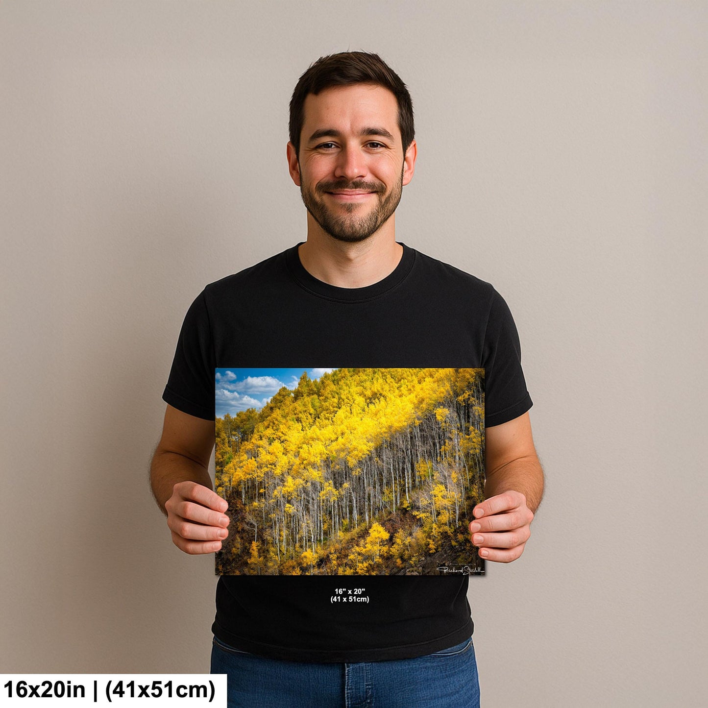 Colorado Aspen Tree Print - Rustic Autumn Mountain Wall Art With Golden Leaves