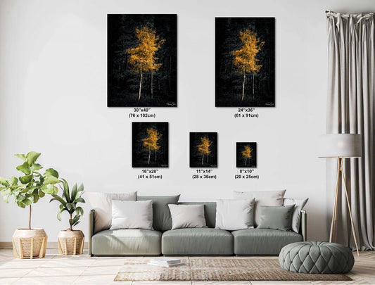 Aspen Tree Wall Art – Colorado Landscape Print | Rustic Fall Decor for Living Room