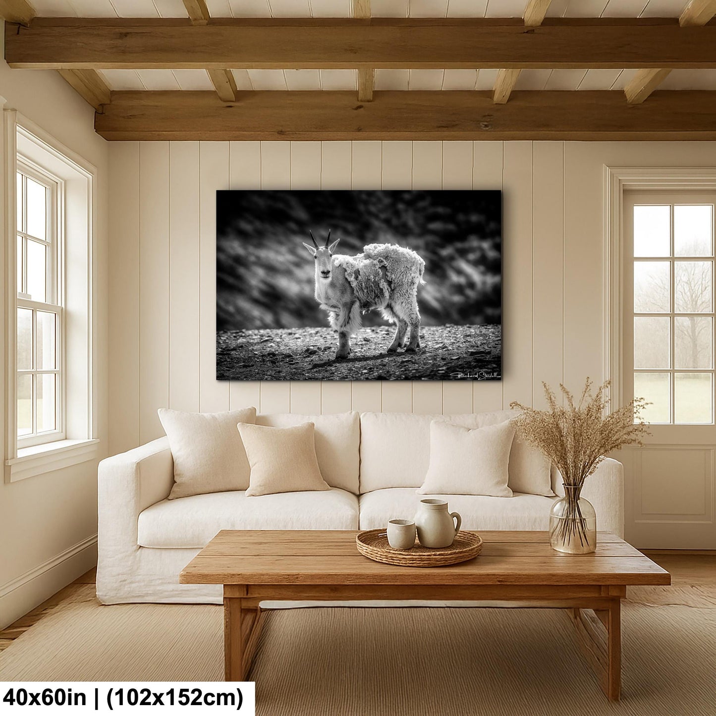 Mountain Goat Wall Art - Rustic Nature Decor | Ready to Hang Canvas Prints