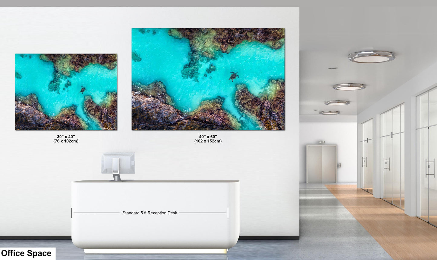 Sea Turtle Wall Art – Maui Reef Scene | Tropical Coastal Decor, Ready To Hang Art