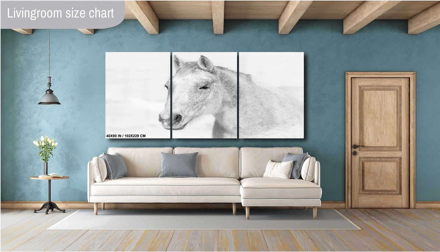 White Horse Wall Art – Serene Equine Wall Decor on Canvas, Metal & Acrylic Prints