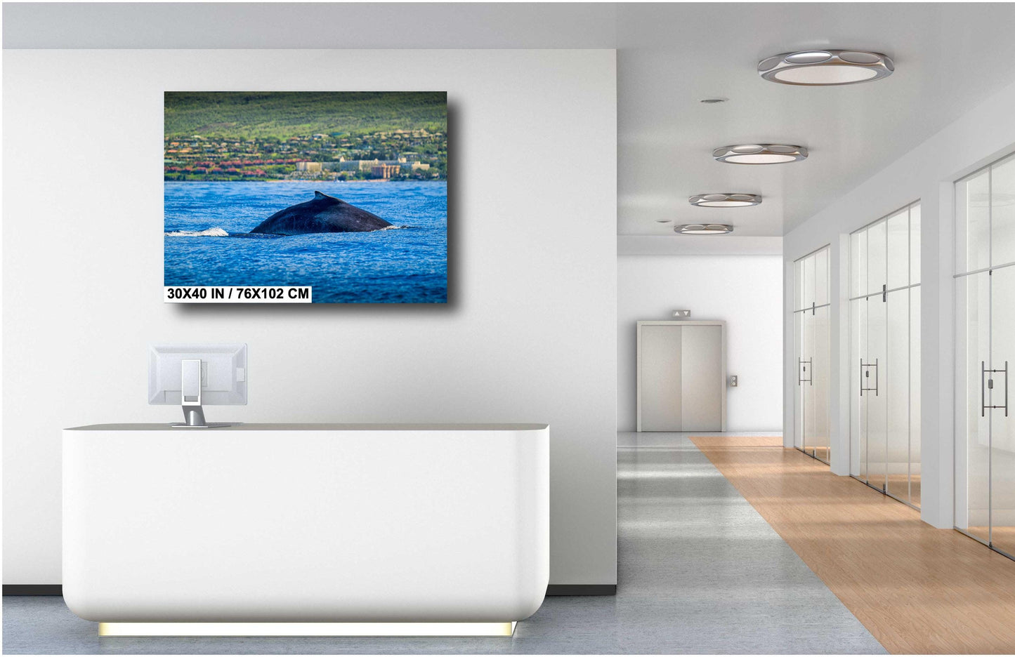 Humpback Whale Wall Art - Ready To Hang Canvas, Metal & Acrylic Ocean Decor