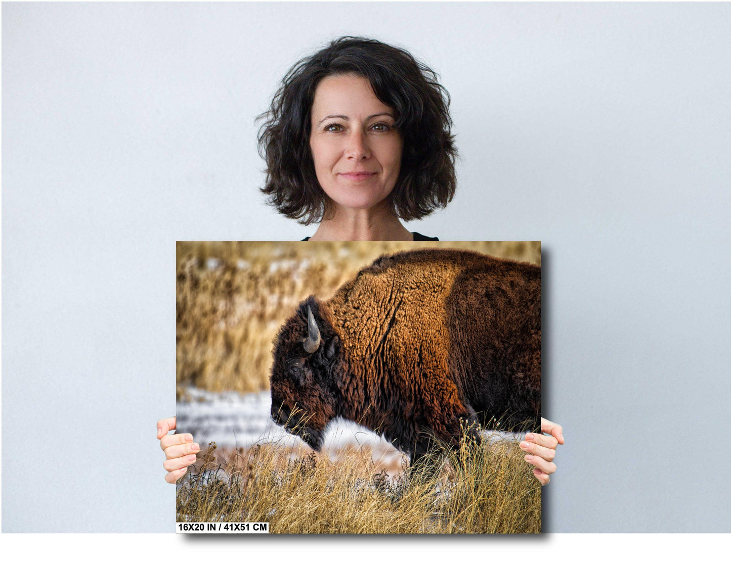 Buffalo Wall Art - Rustic Bison Snow Scene Canvas & Wildlife Metal Print