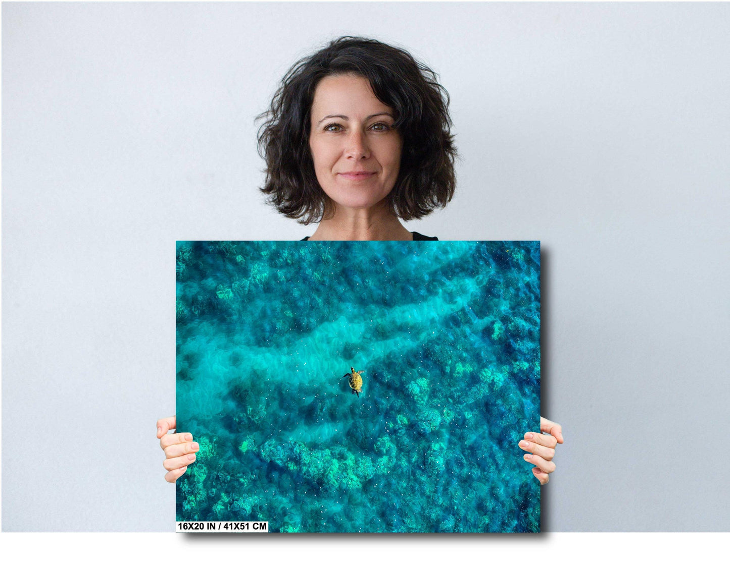 Sea Turtle Wall Art - Aerial Ocean Photography Print | Tropical Underwater Decor