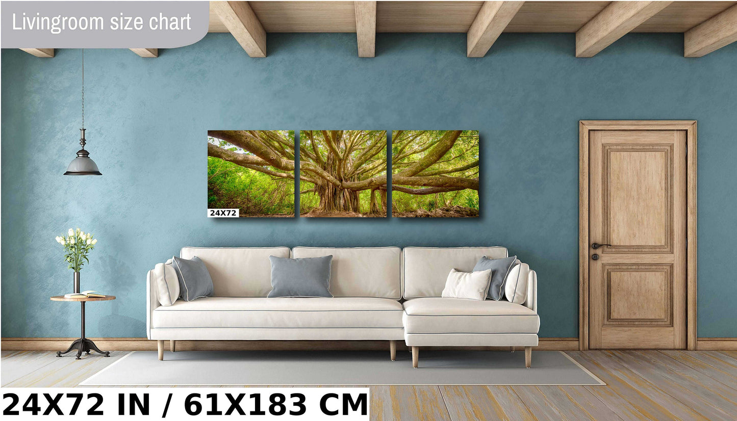 Maui Wall Art - Banyan Tree Photo on Premium Photo Paper | Hawaii Wall Decor