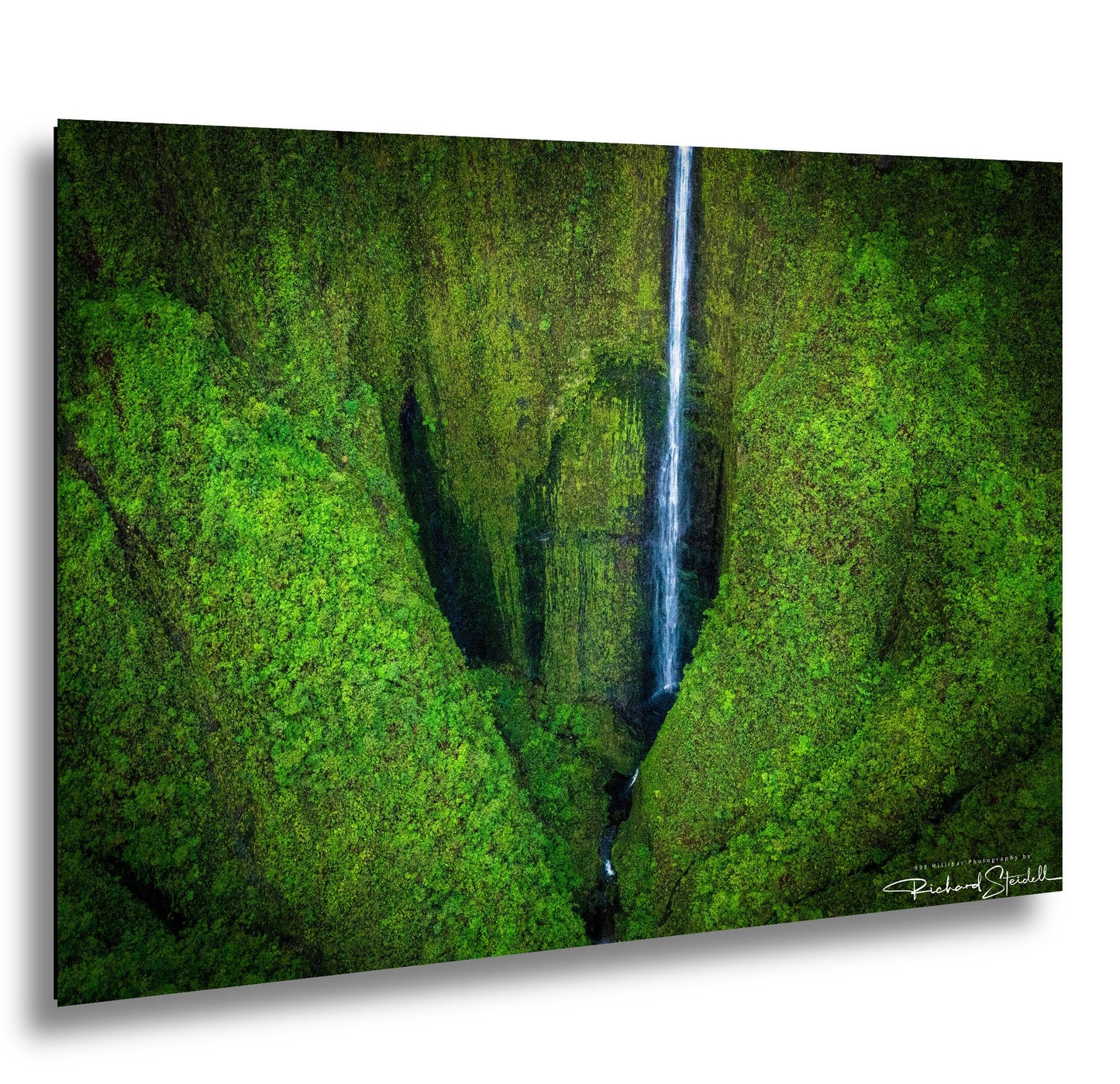 The Heart of Maui Wall Art