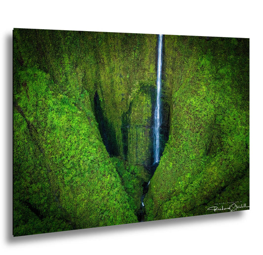 The Heart of Maui Wall Art