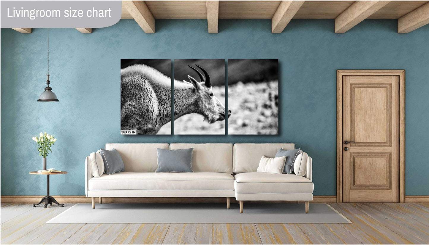 Mountain Goat Wall Art – Rustic Wildlife Photography Print | Black & White Decor