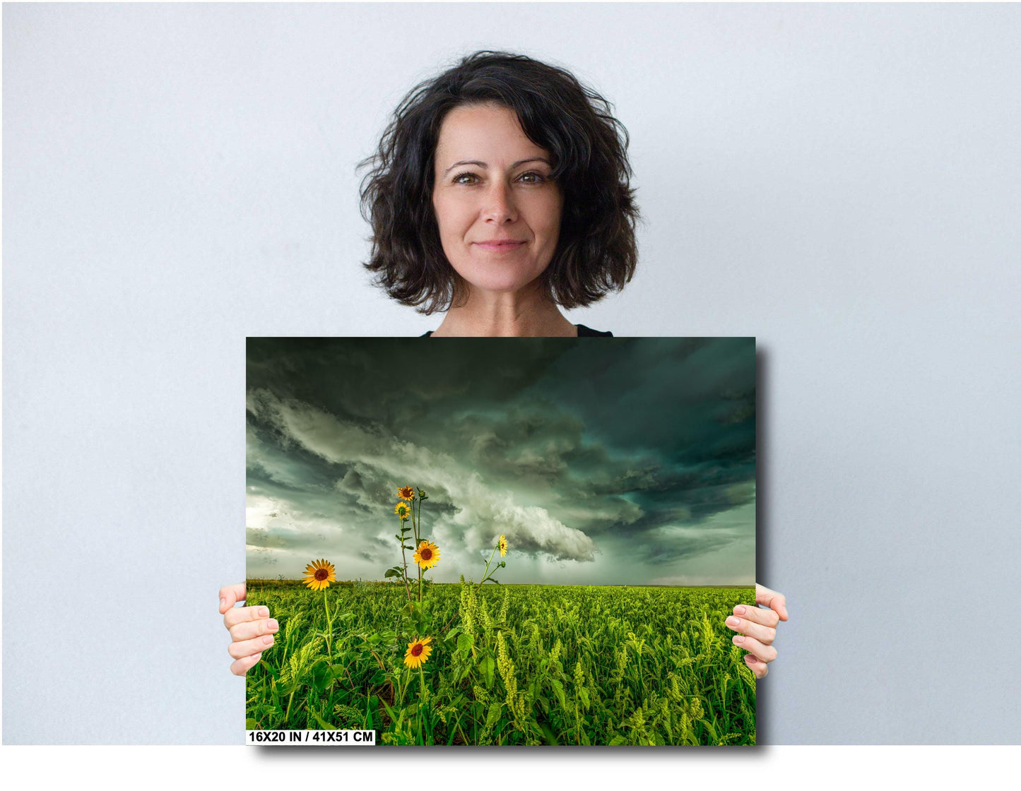 Stormy Sky Wall Art - Moody Landscape Print | Sunflower Wall Decor | Ready to Hang Canvas