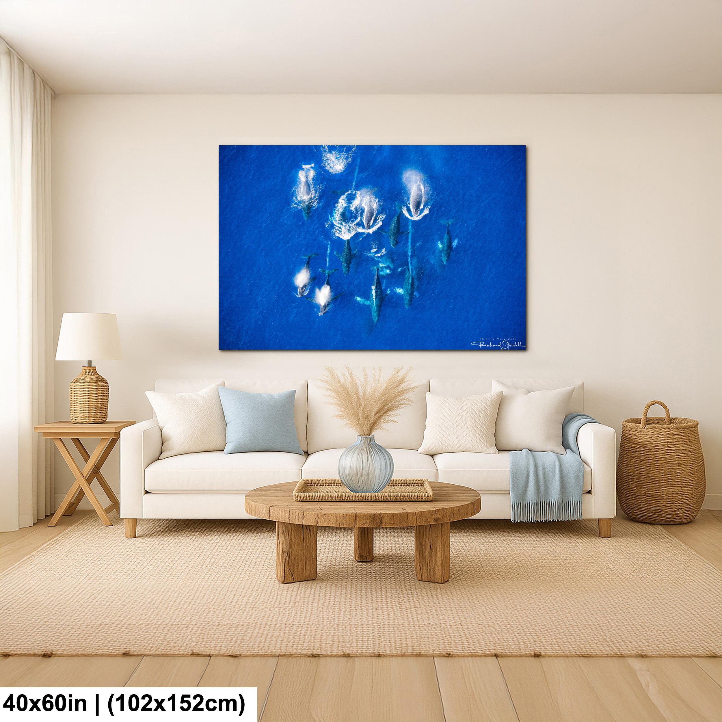 Humpback Whale Wall Art | 998 Millibar Photography Canvas