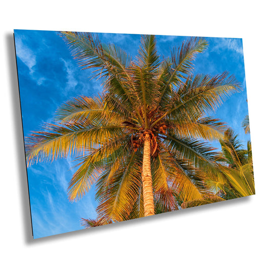 Palm Tree Wall Art - Tropical Canvas Print & Metal Wall Decor for Beach House