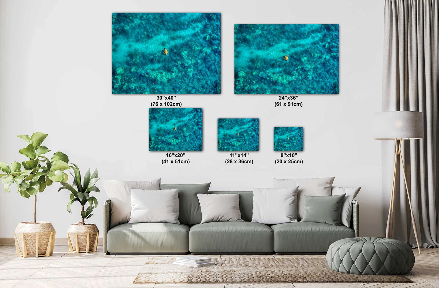 Sea Turtle Wall Art - Aerial Ocean Photography Print | Tropical Underwater Decor