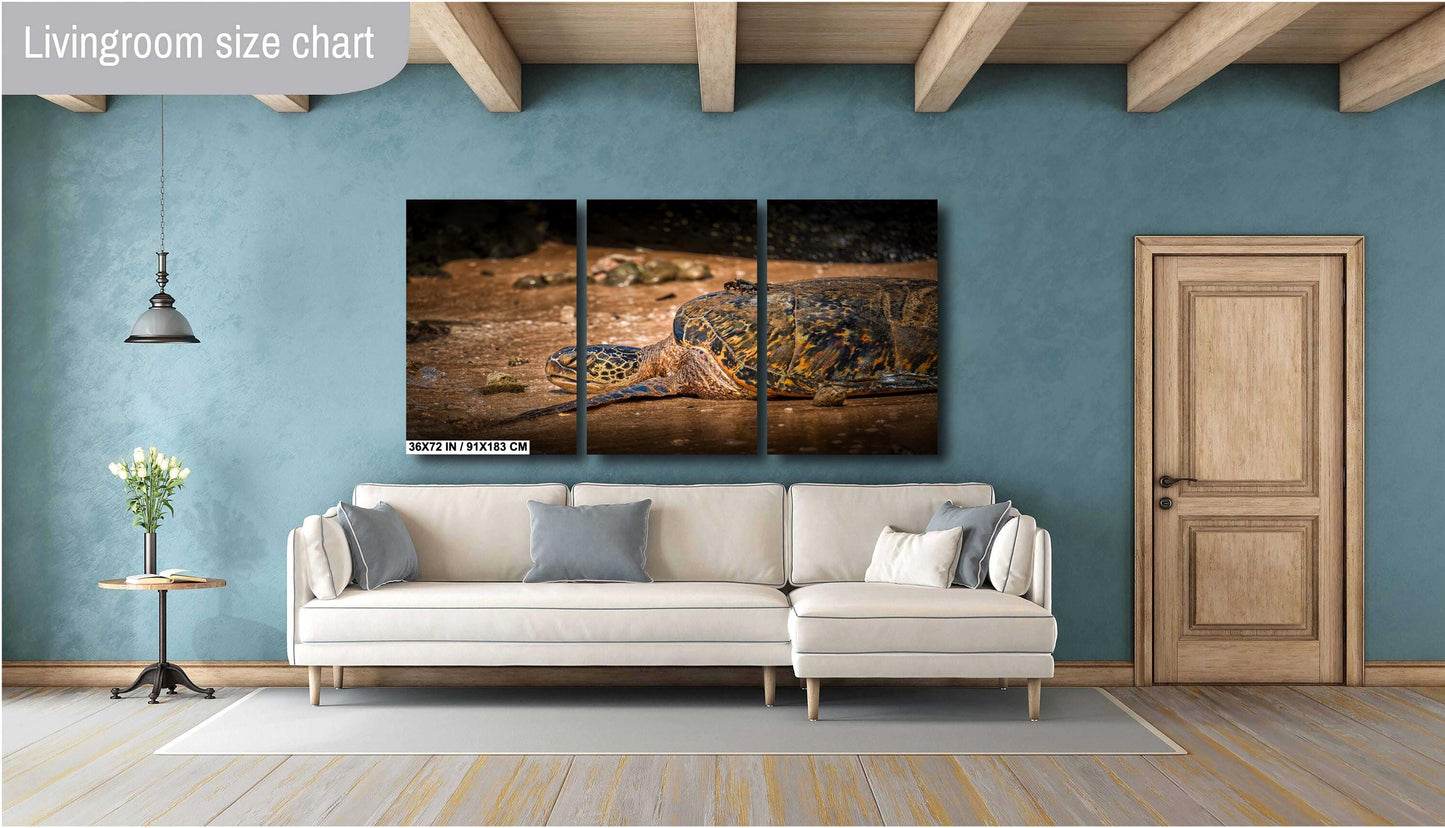 Sea Turtle Wall Art - Ocean Photography Print | Tropical Marine Life Artwork