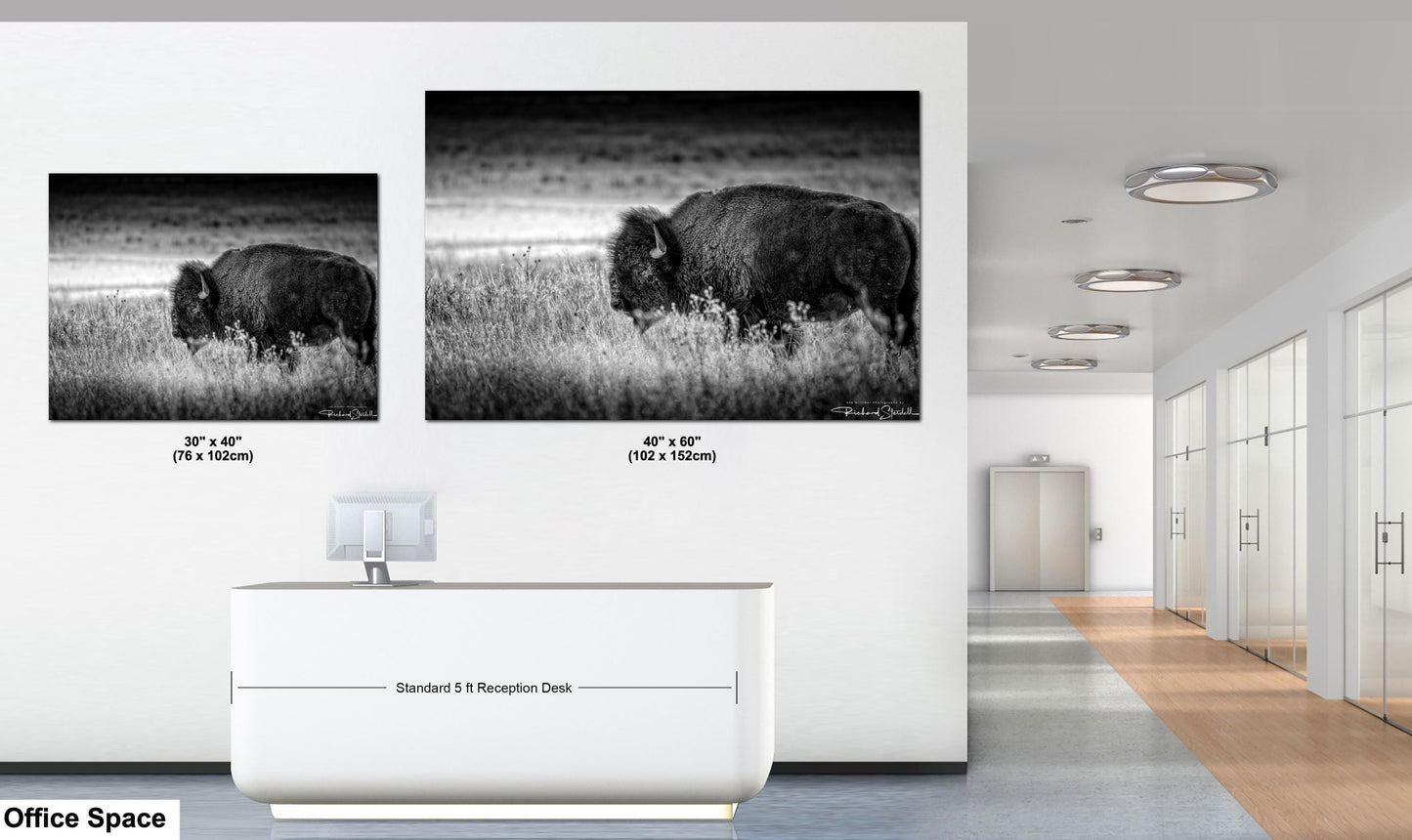 Buffalo Wall Art: Rustic Wildlife Photography - Ready to Hang