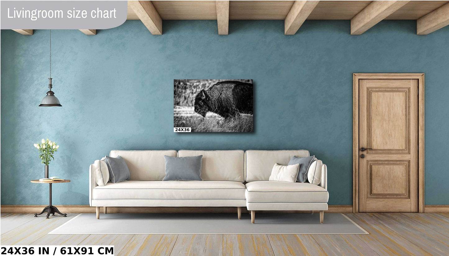 Buffalo Canvas Art – Bison Wall Decor | Wildlife Photography Print | Rustic Lodge Decoration