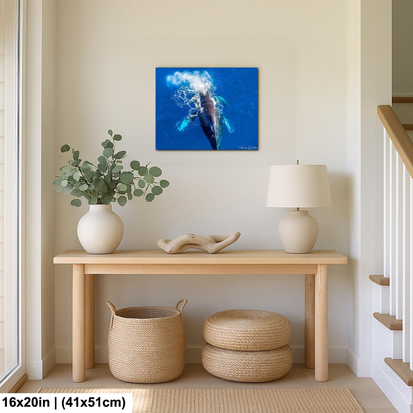Humpback Whale Wall Art - Ocean Photo Print for Home