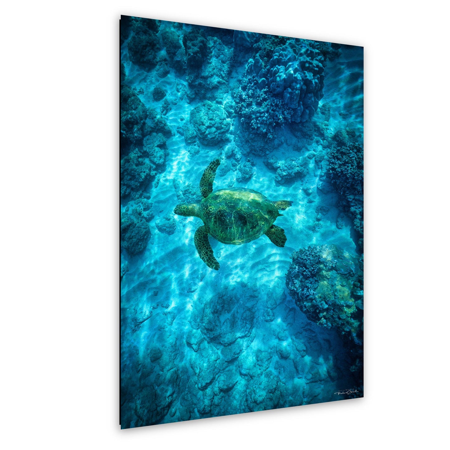 Sea Turtle Wall Art: Maui Ocean View - Tropical Coastal Decor