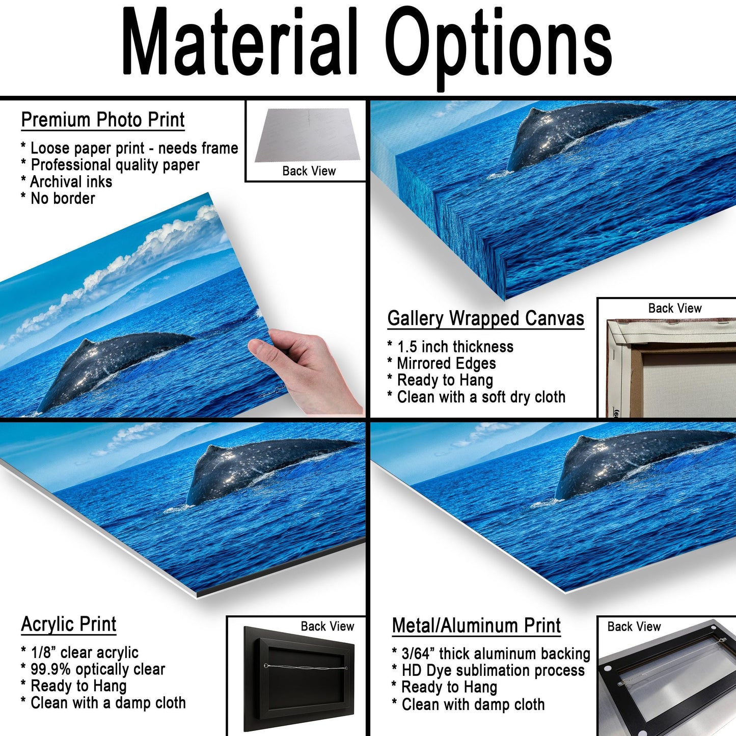 Humpback Whale Wall Art, Ocean Animal Print (Canvas, Metal, or Acrylic)