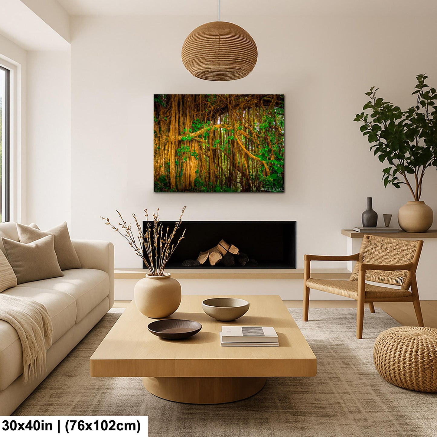 Tropical Maui Wall Art -Tree Forest Photo Print