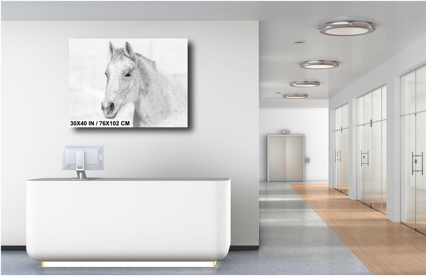 White Horse Wall Art – Serene Equine Wall Decor on Canvas, Metal & Acrylic Prints