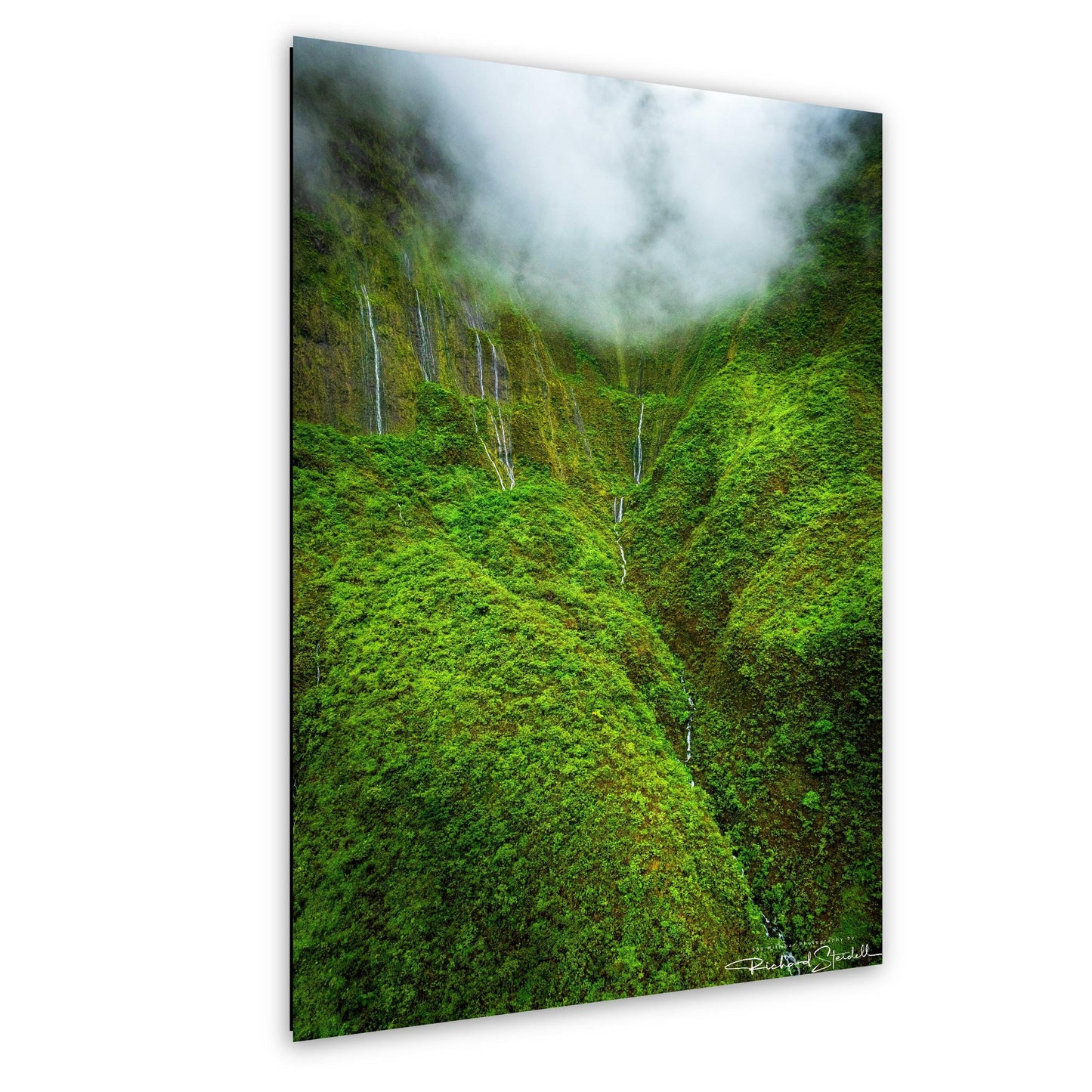 Hawaii Waterfall Wall Art: Tropical Hawaiian Jungle Landscape