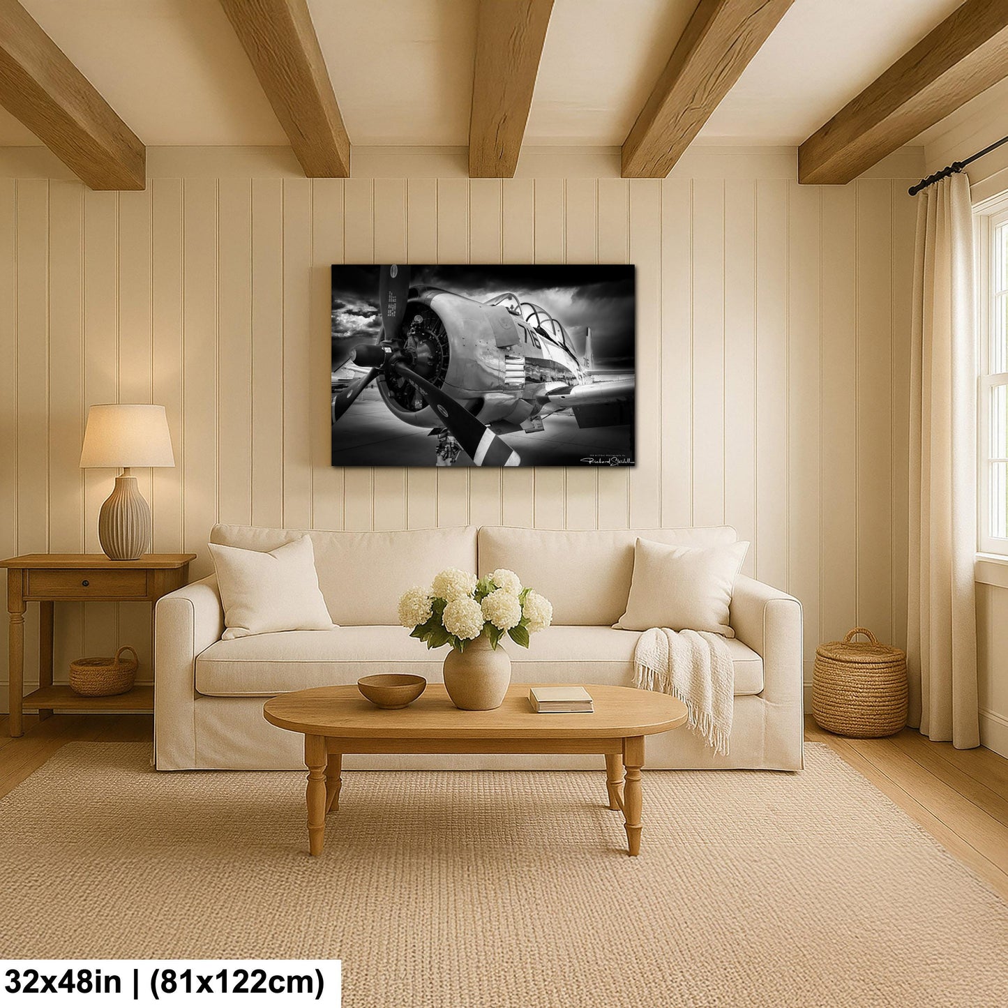 Vintage Airplane Print - Retro Aviation Decor | Acrylic Flight Art Wall
