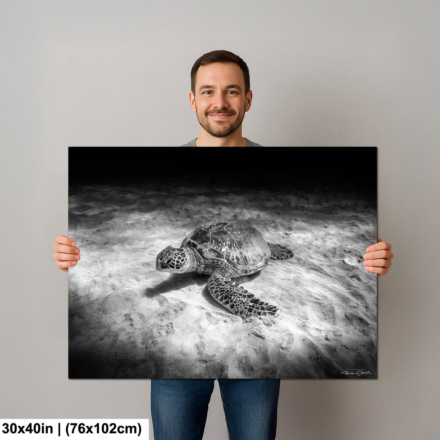 Sea Turtle Wall Art - Maui Ocean View | Tropical Coastal Decor Print
