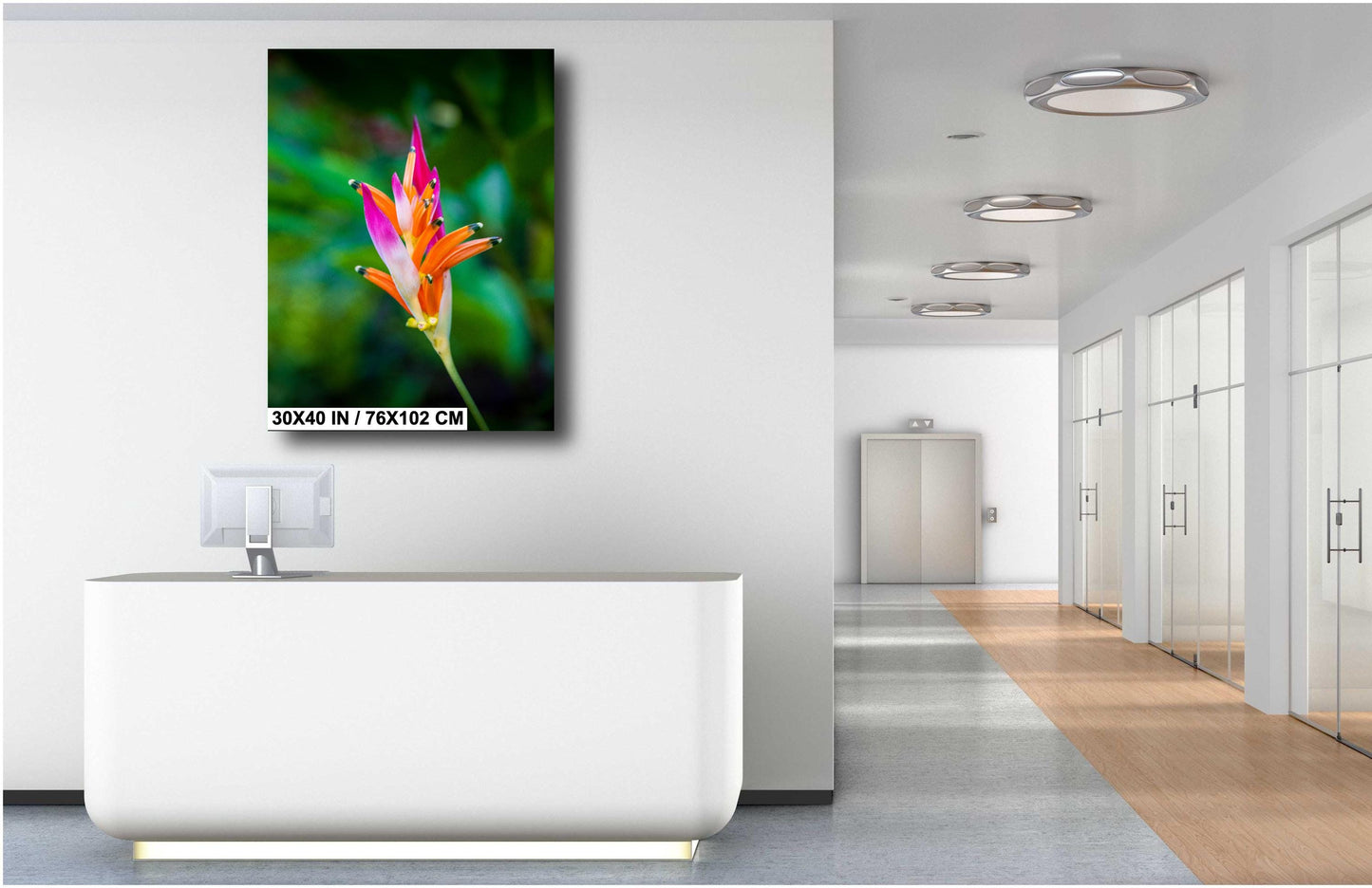 Heliconia Flower Wall Art - Tropical Flower Art | Vibrant Acrylic Prints
