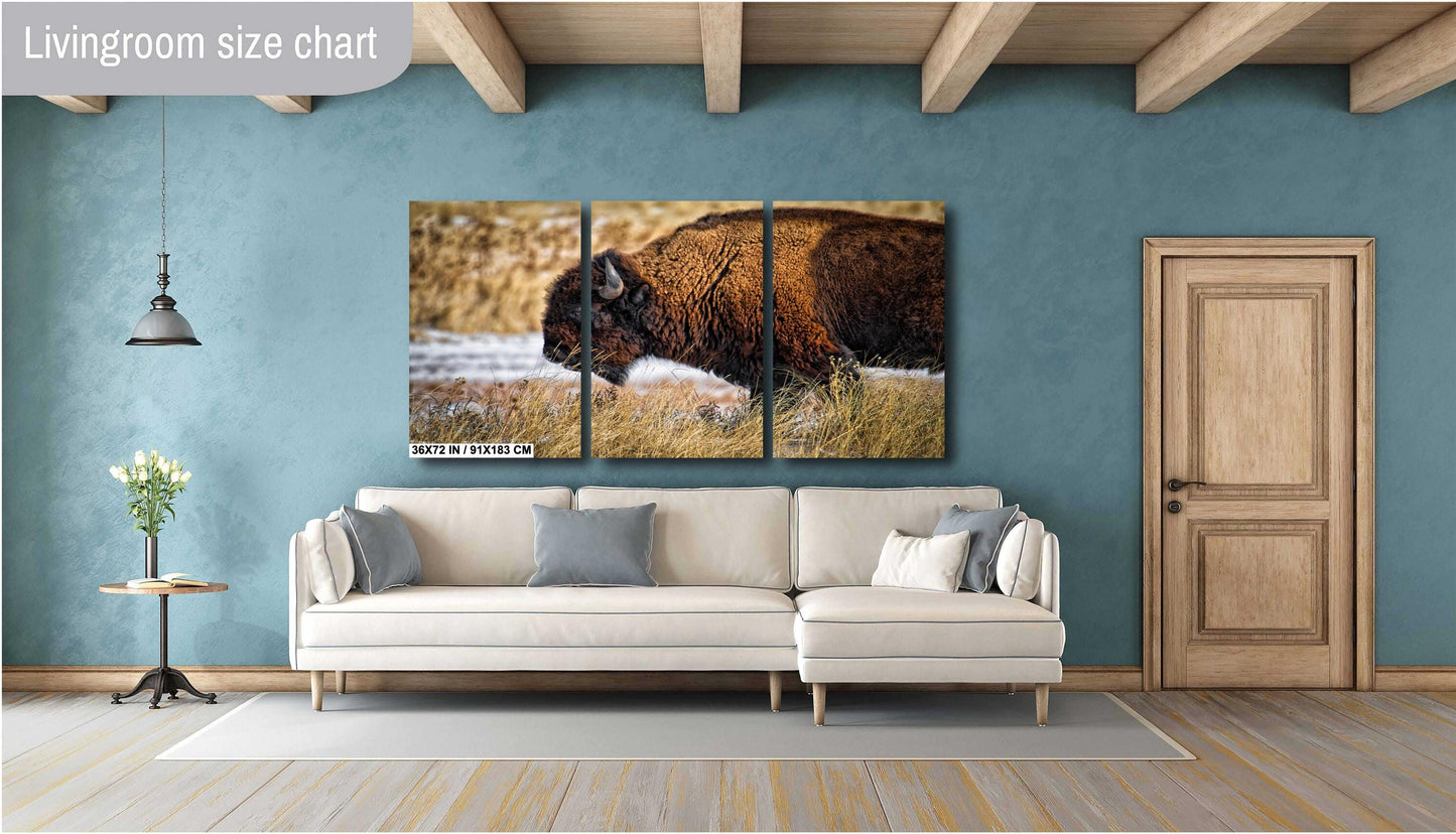Buffalo Wall Art - Rustic Bison Snow Scene Canvas & Wildlife Metal Print