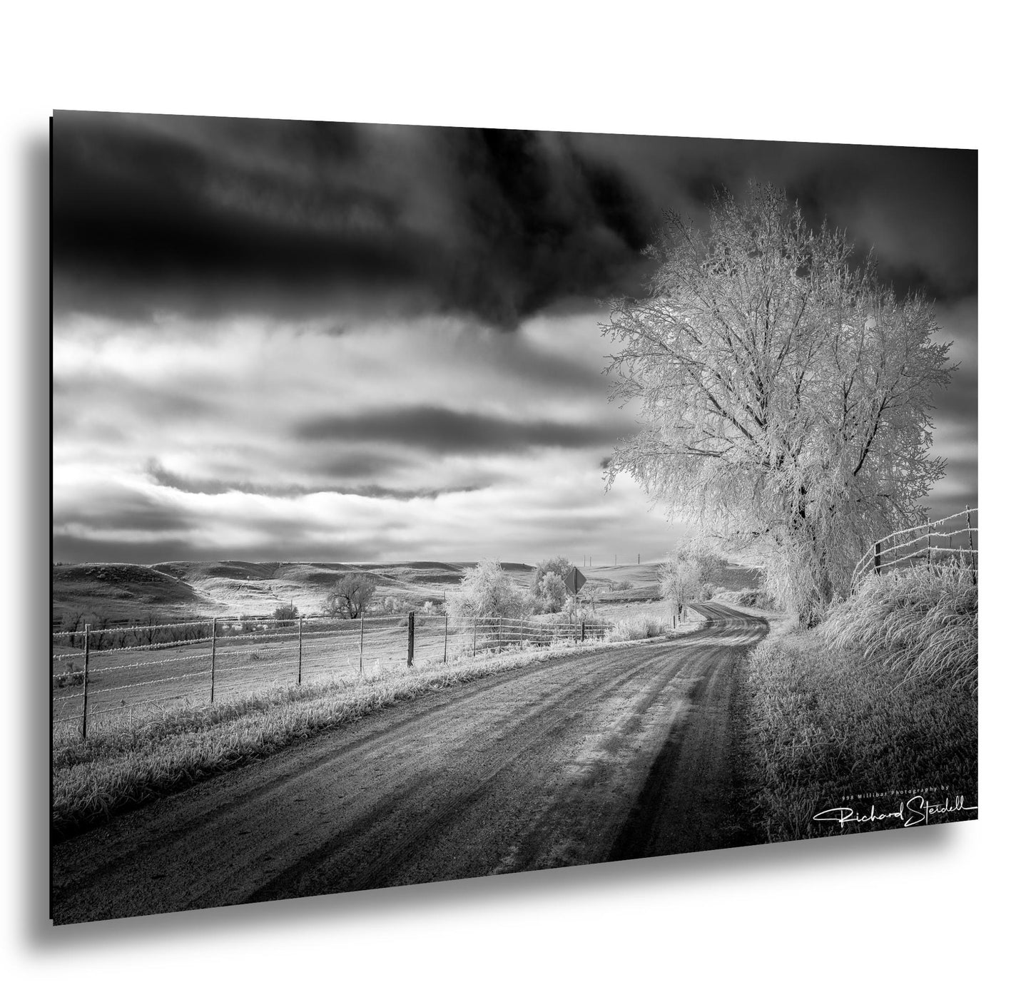 Winter Country Road Print: Black & White Landscape (Canvas or Metal)