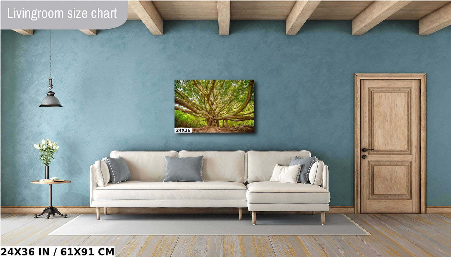 Maui Wall Art - Banyan Tree Photo on Premium Photo Paper | Hawaii Wall Decor