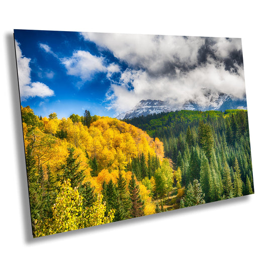 Colorado Aspens Photography Print - Telluride Mountain Landscape Art for Home & Office Decor