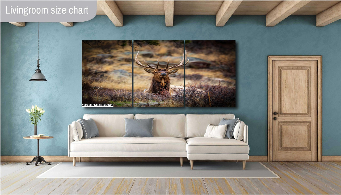 Elk Wall Art - Rocky Mountain Decor | Wildlife Print On Ready To Hang Canvas