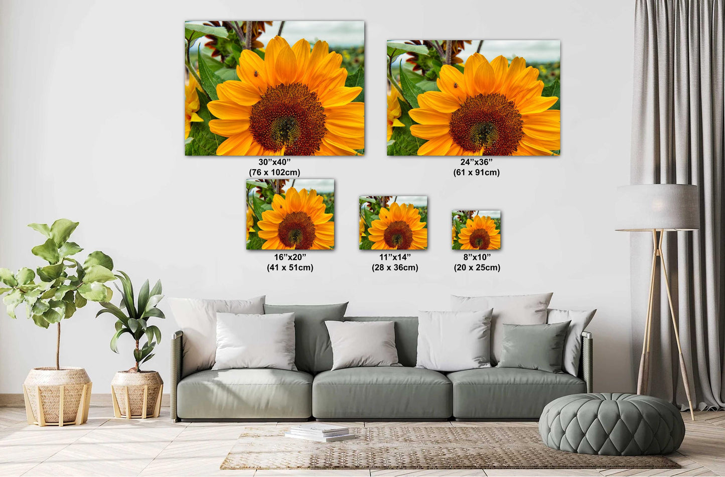Yellow Sunflower Wall Art - Vibrant Ladybug On Sunflower Canvas Print Decor