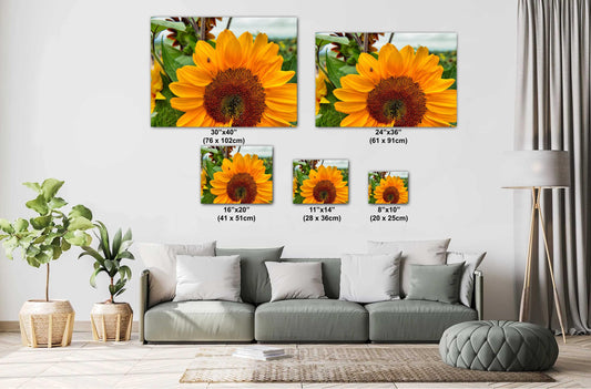 Yellow Sunflower Wall Art - Vibrant Ladybug On Sunflower Canvas Print Decor